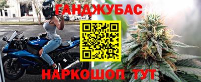 прущие грибы Тара