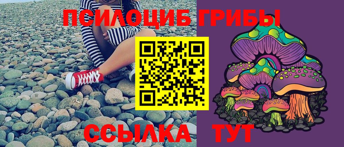 Ростов-на-Дону  Галлюциногенные грибы Cubensis  Вход с VPN 